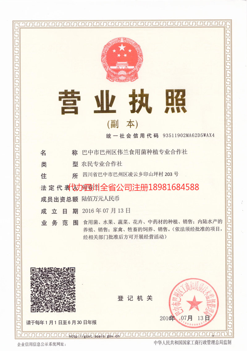 雅安市雅安市伟兰食用菌种植专业合作社