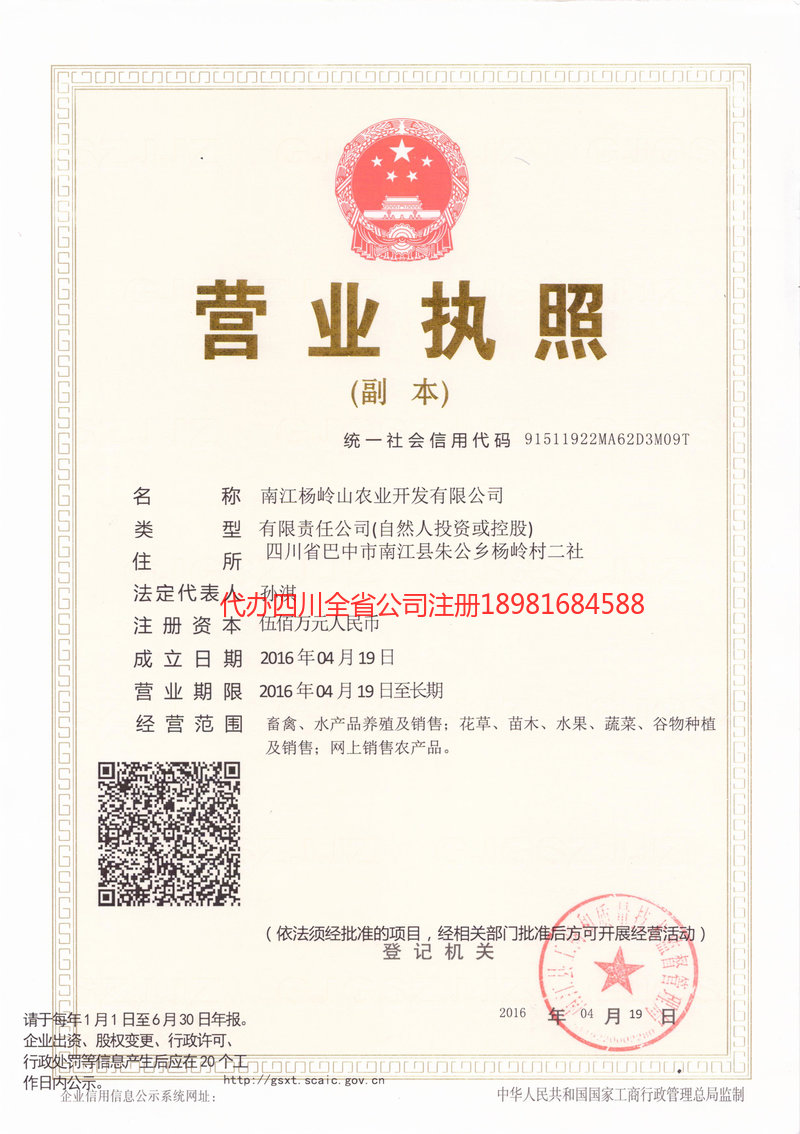 雅安市雅安市杨岭山农业开发有限公司